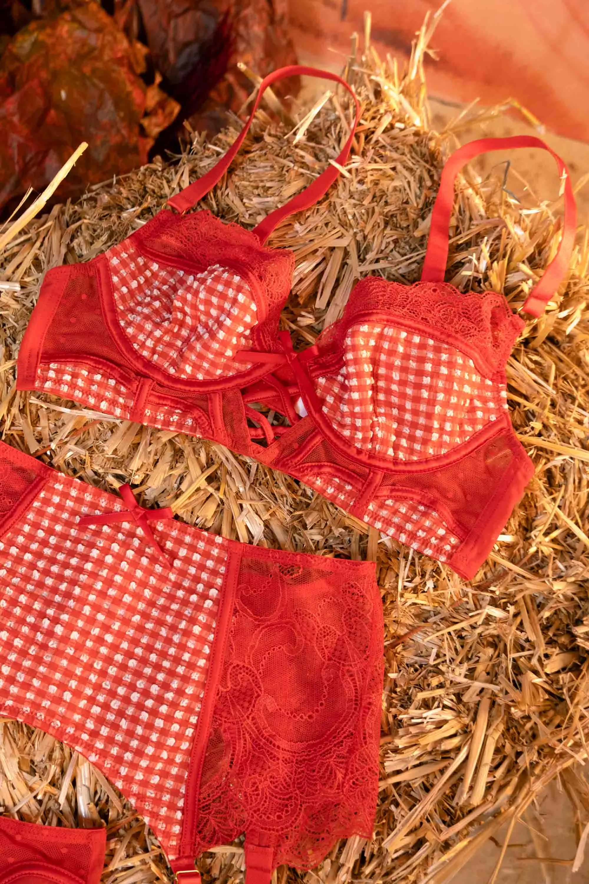 Adelaide Western Gingham And Lace High Waisted Thong