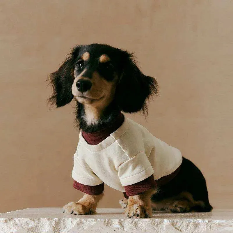 Layered Look Dog Pullover