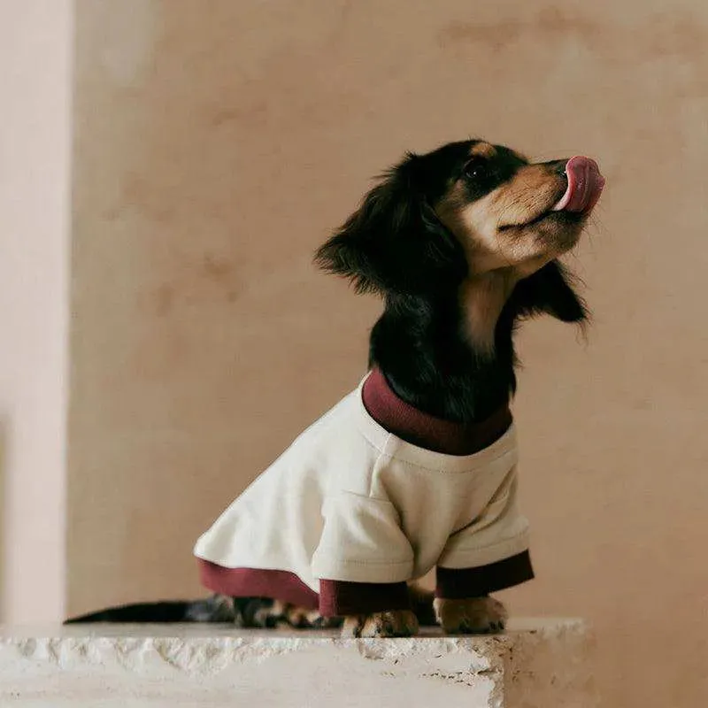 Layered Look Dog Pullover