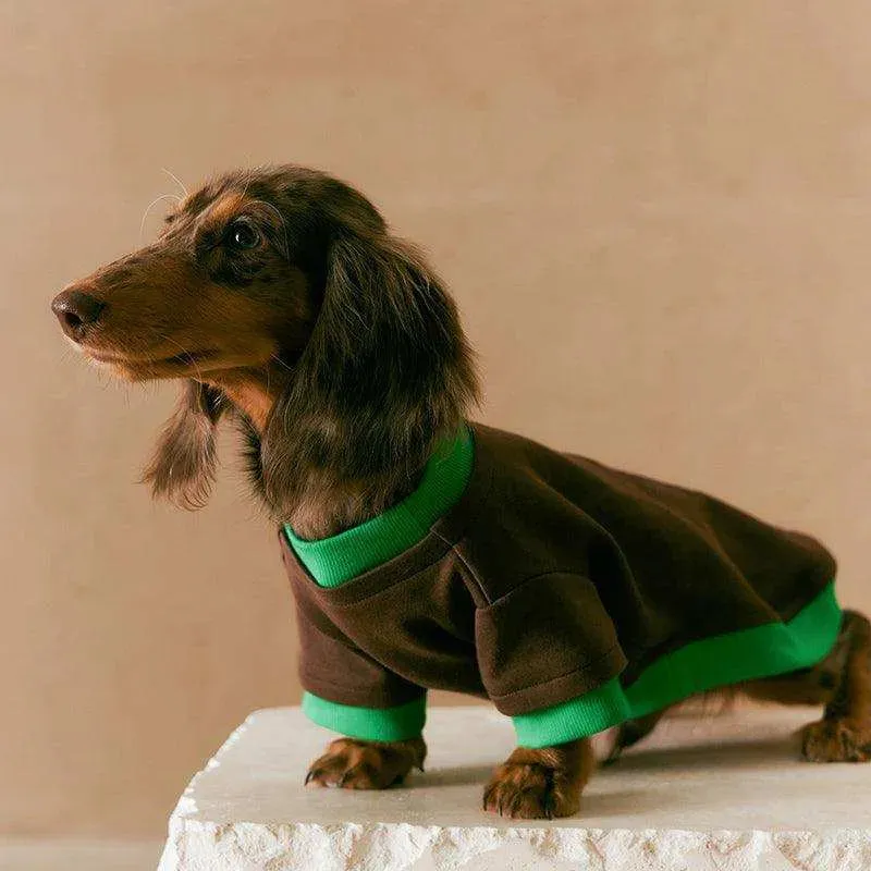 Layered Look Dog Pullover