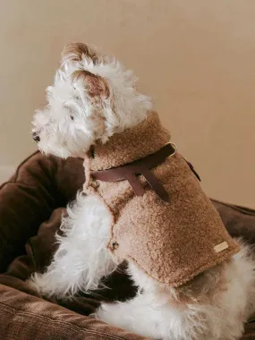 Luxe Lamb Wool Dog Winter Vest