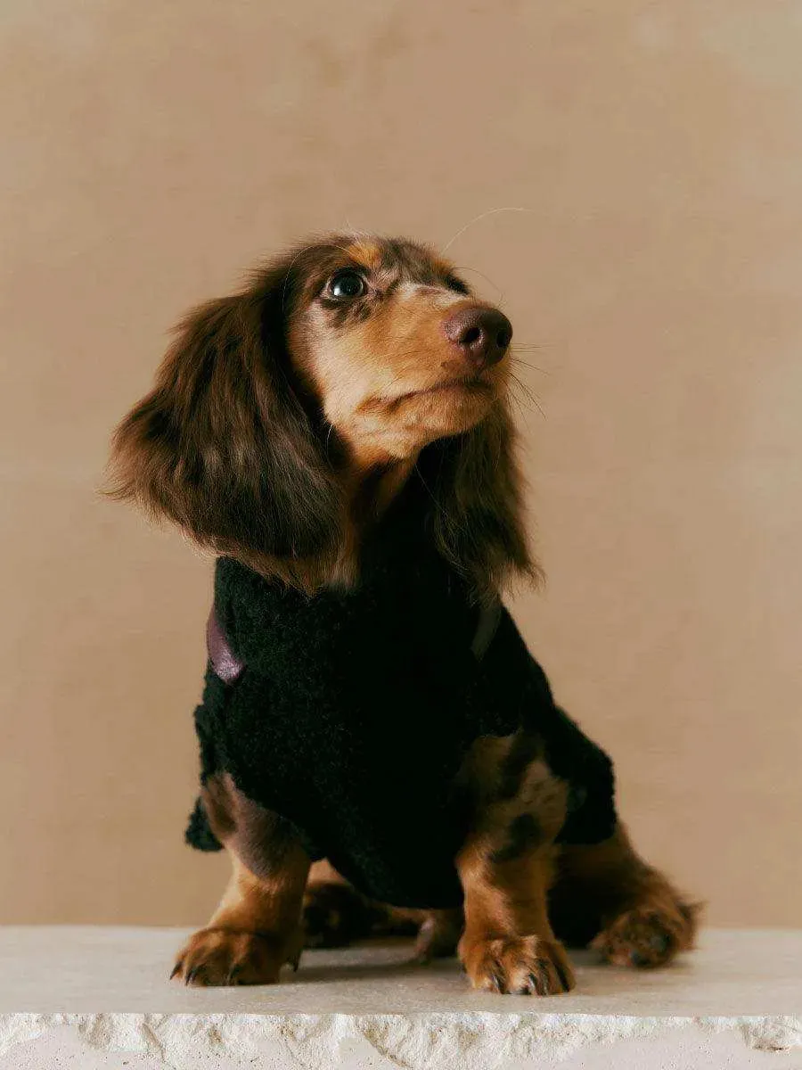 Luxe Lamb Wool Dog Winter Vest