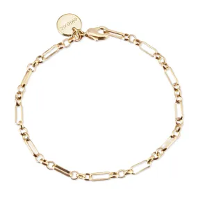 Small Multi Link Chain Anklet